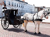 Hansom Cab